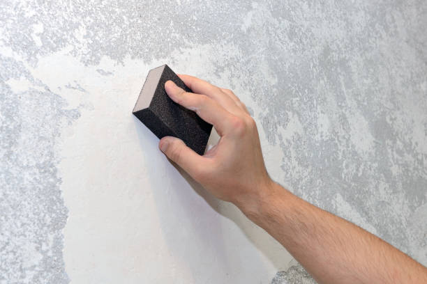Best Basement Mold Removal  in Astia, OR