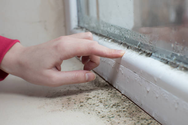 Best Indoor Air Quality Assessment  in Astia, OR